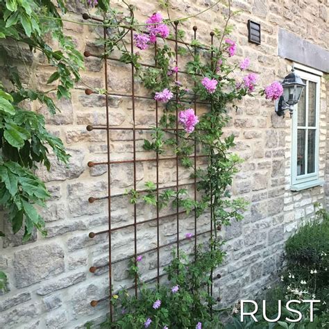 Trellis .
